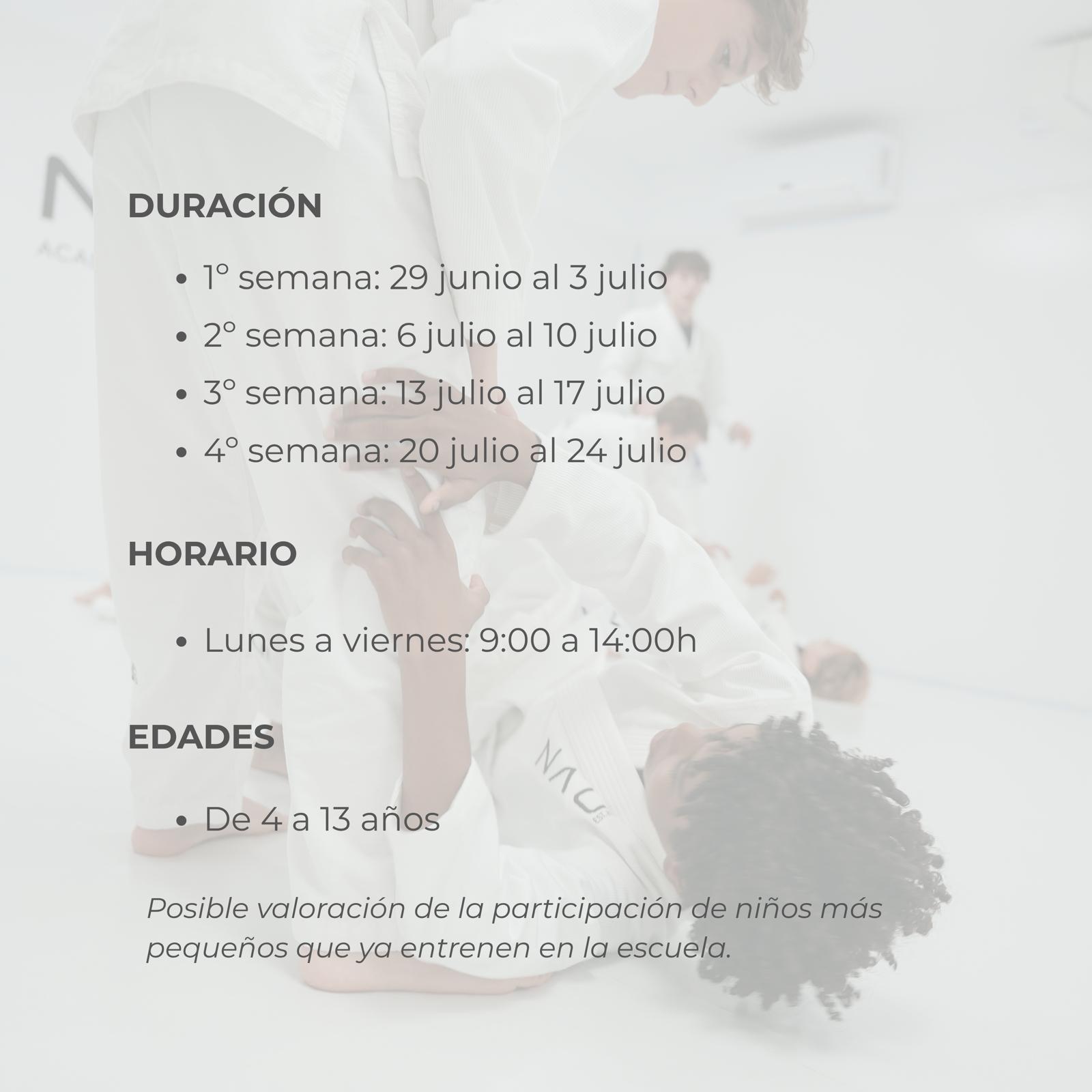 JUI JITSU SUMMER CAMP (Desde el 29 de Junio al 24 de Julio) - Imagen 2